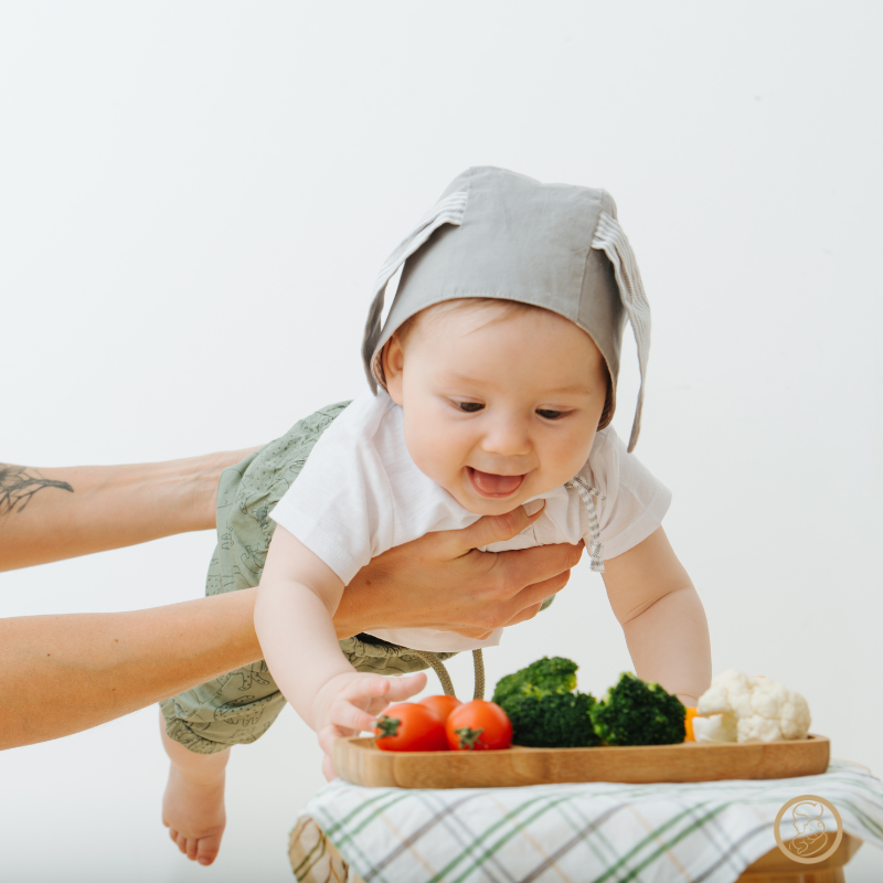 Alimentação Infantil: Introdução de Sólidos de Forma Segura e Saudável - Ama Mamma
