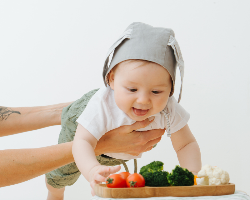 Alimentação Infantil: Introdução de Sólidos de Forma Segura e Saudável - Ama Mamma