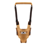 Andador para Bebê Meus Primeiros Passinhos Estável e Seguro - Ama Mamma - Ama Mamma