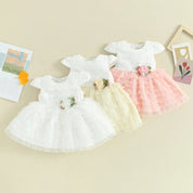 Vestido Infantil Feminino Rosas | 0-24 Meses - Ama Mamma