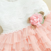 Vestido Infantil Feminino Rosas | 0-24 Meses - Ama Mamma
