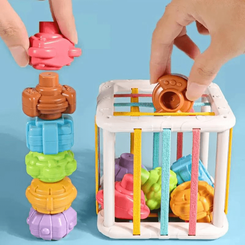 Brinquedos Montessoriano | Blocos de Forma Colorida - 0~36 meses - Ama Mamma